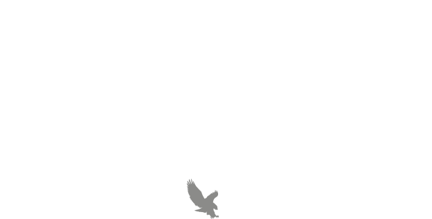 Hawken School Logo